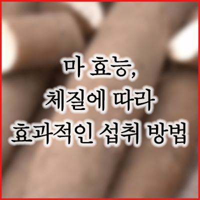 마 효능 (체질에 따른, 효과적인 섭취 방법 소개)