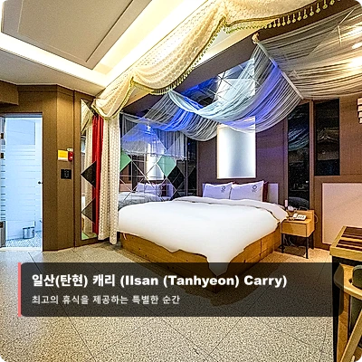 일산(탄현) 캐리 (Ilsan (Tanhyeon) Carry)_4