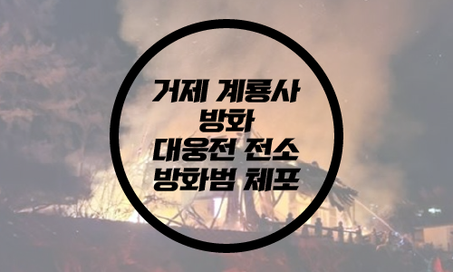 거제 계룡사 방화/거제 계룡사 대웅전 전소/방화범 체포