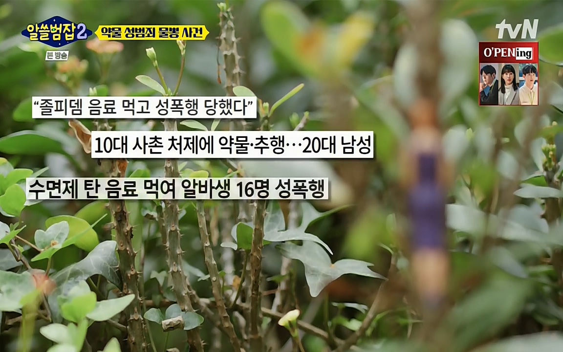 알쓸범잡 2.E15.220425p-NEXT.mp4_20220425_192145.711.jpg