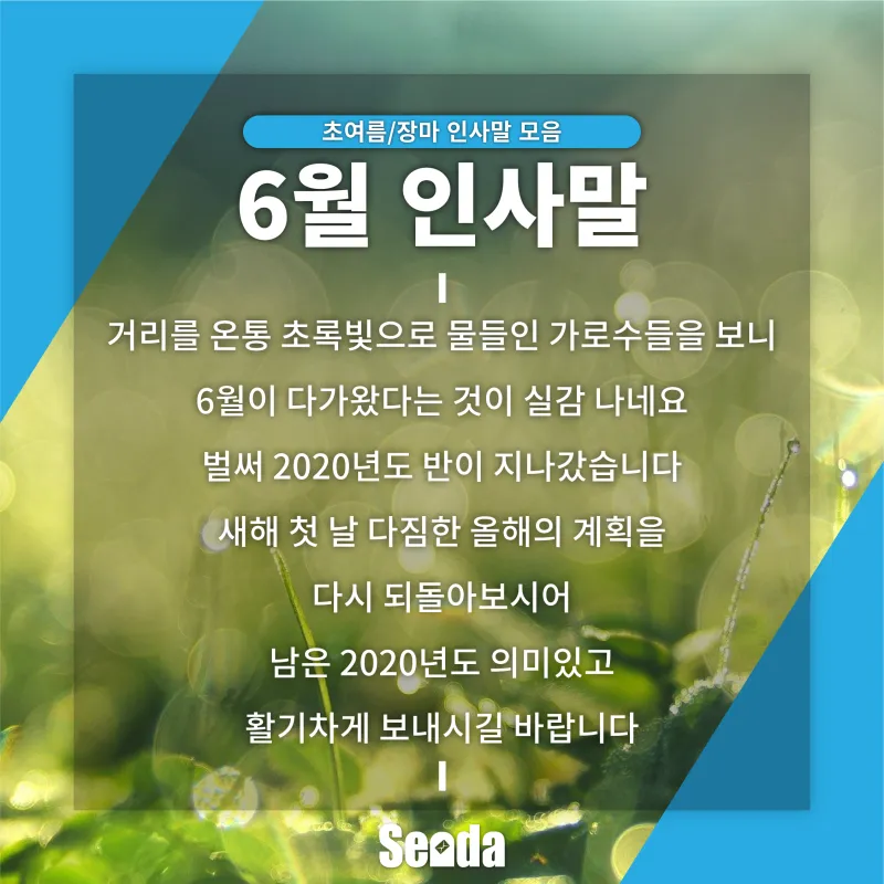 6월 인사말 모음집 이미지 문구 이미지 모음_2