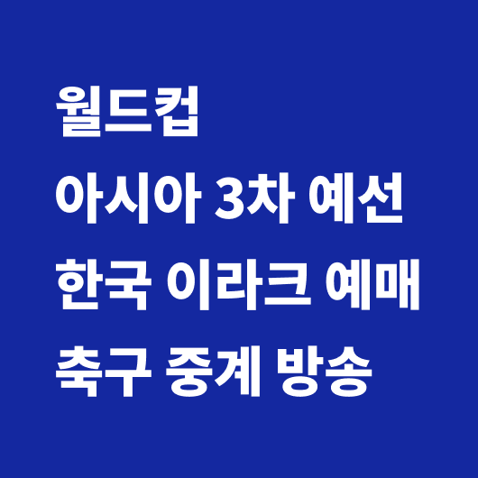 월드컵 한국 이라크