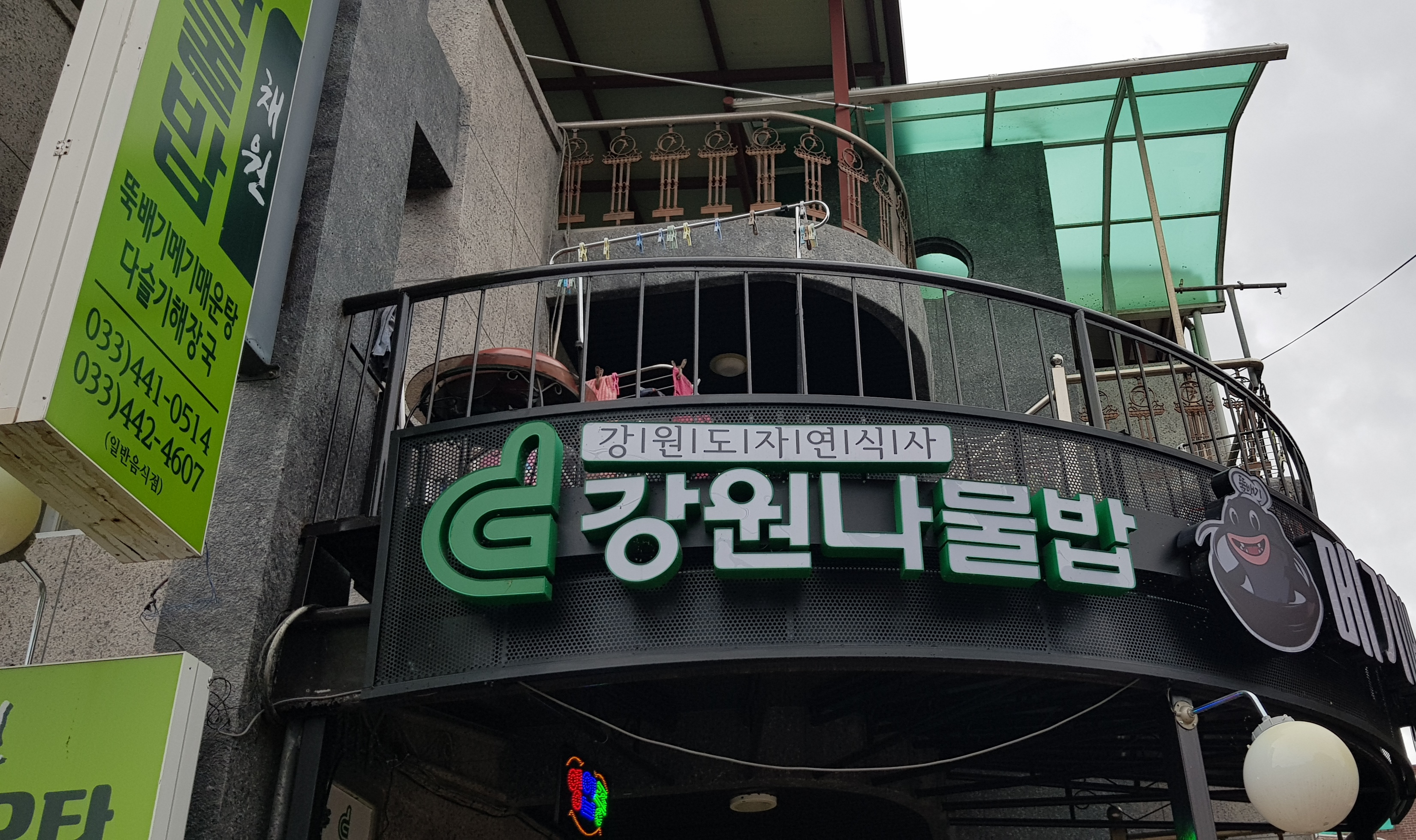강원나물 이미지