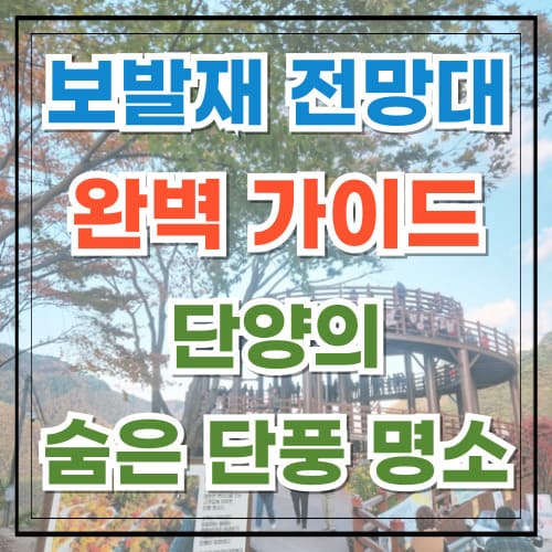 보발재 전망대 완벽 가이드 단양의 명소 인생 사진 잡자