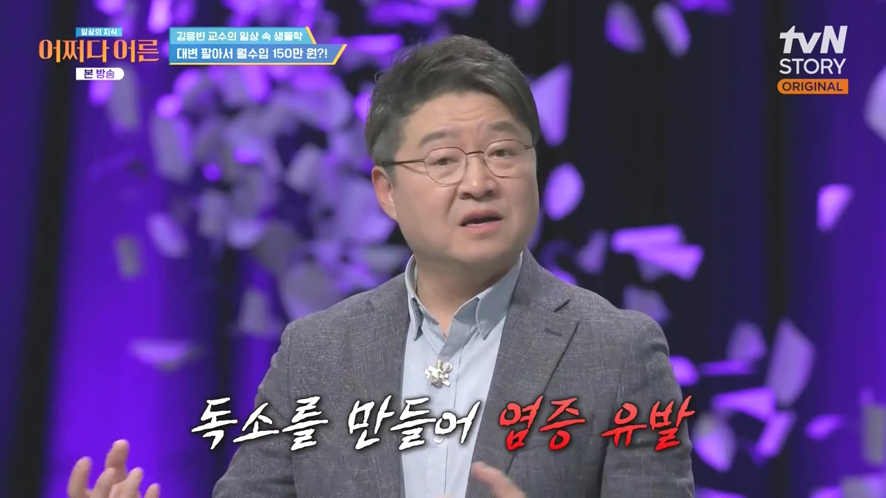 어쩌다 어른.E51.240410p-NEXT.mp4_20240410_170648.151.jpg