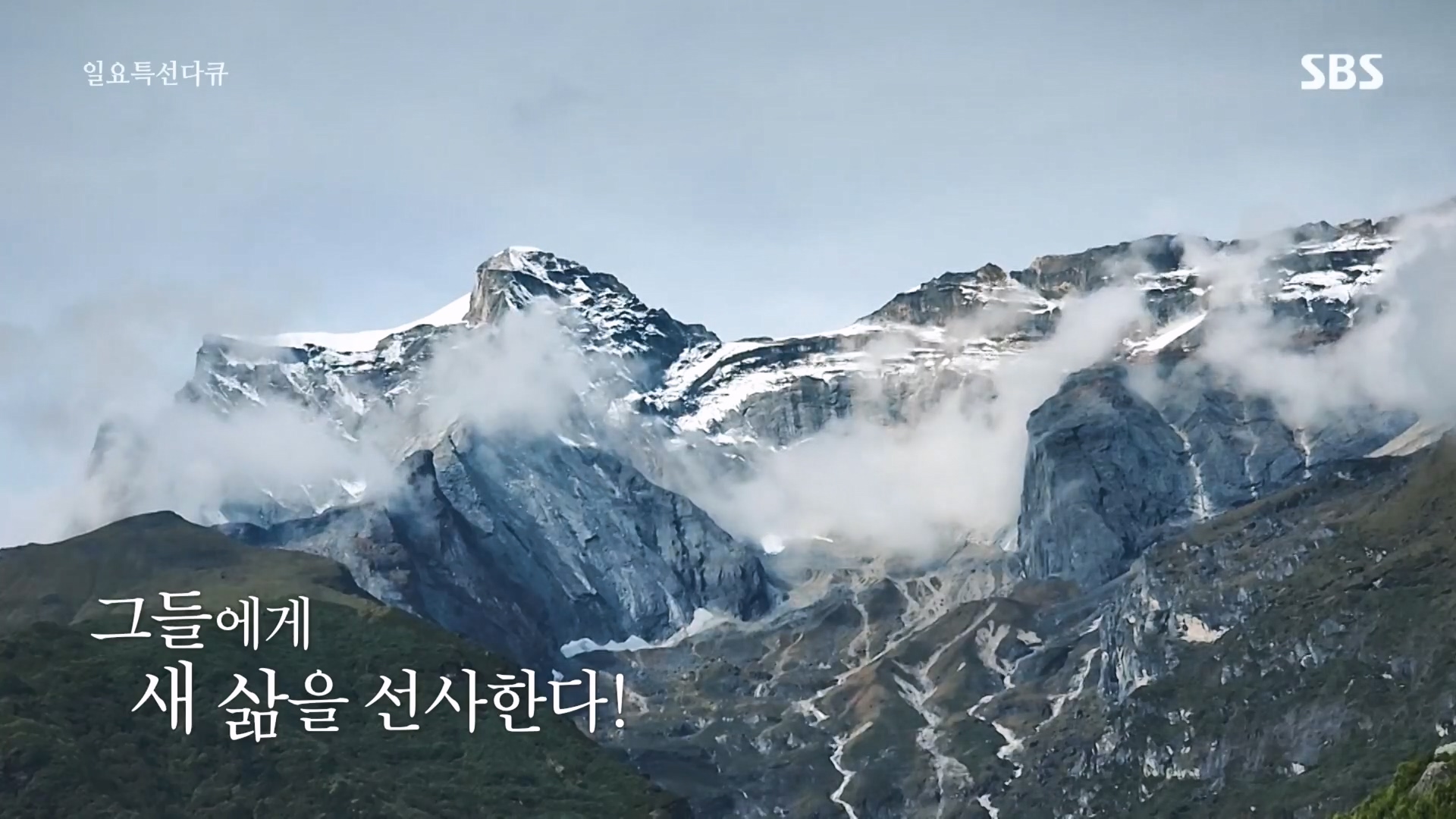 일요 특선 다큐멘터리.E334.231231p.H264-F1RST.mp4_20231231_150156.838.jpg