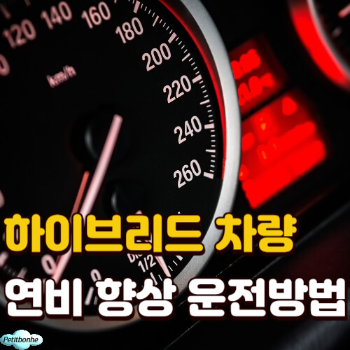하이브리드 차량 연비 향상 운전 방법 썸네일 이미지