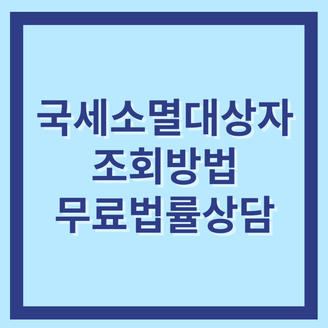 국세소멸대상자