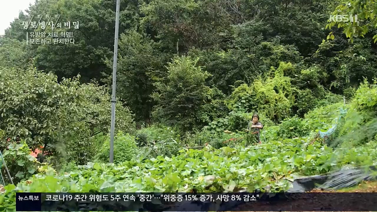 생로병사의 비밀.E845.221131p.H264-F1RST.mp4_20221201_215309.555.jpg