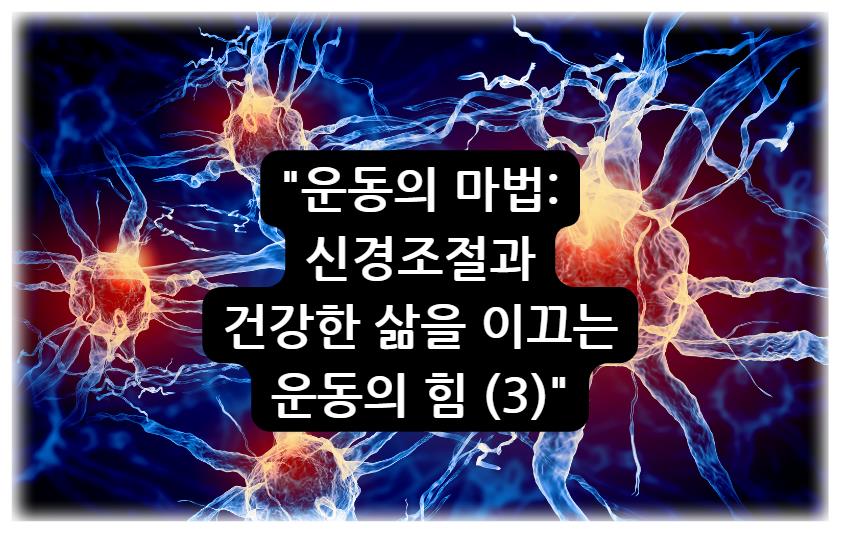 운동의 마법: 신경조절과 건강한 삶을 이끄는 운동의 힘 (3)