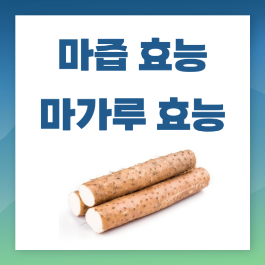 마즙효능&#44; 마가루효능 썸네일