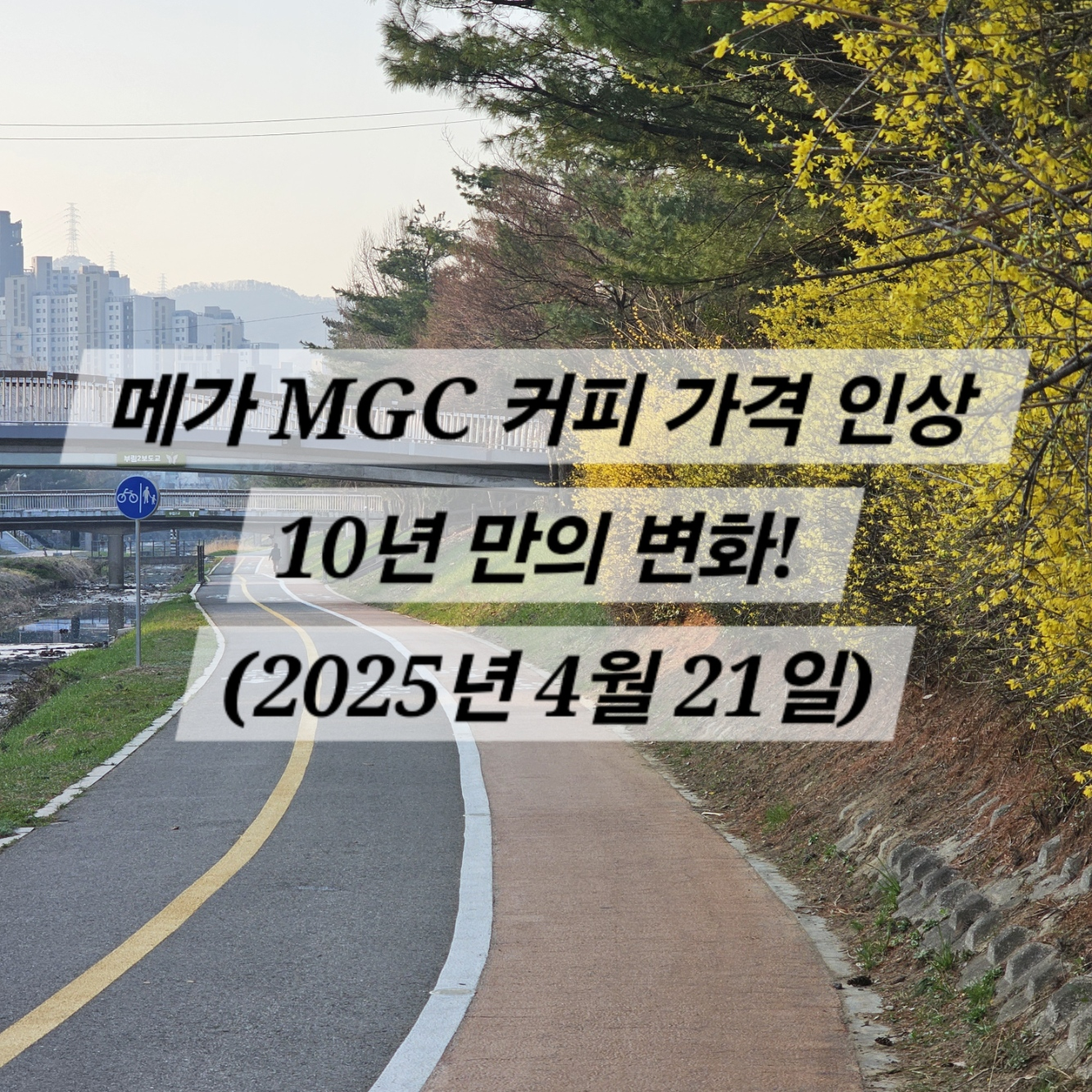 메가 MGC 커피 가격 인상