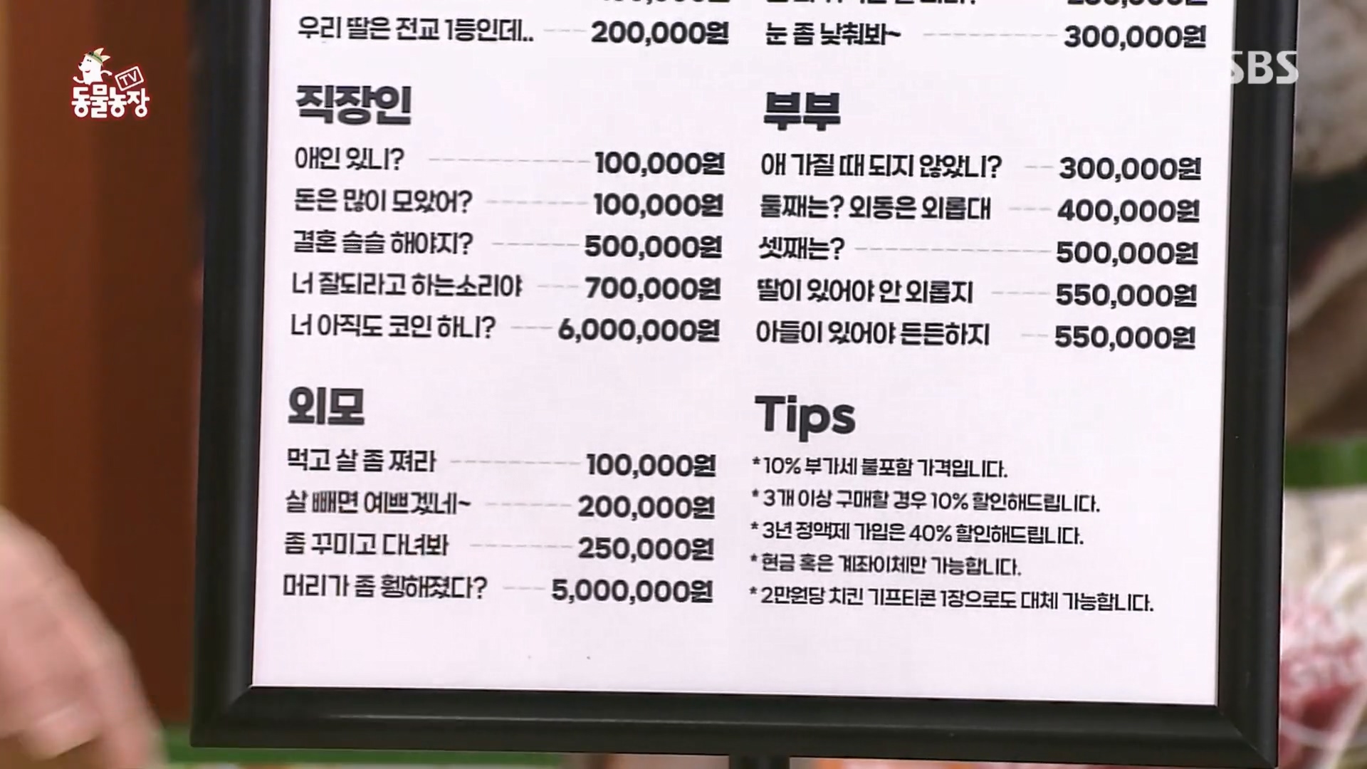 TV 동물농장.E1158.240211p.H264-F1RST.mp4_20240211_191024.118.jpg