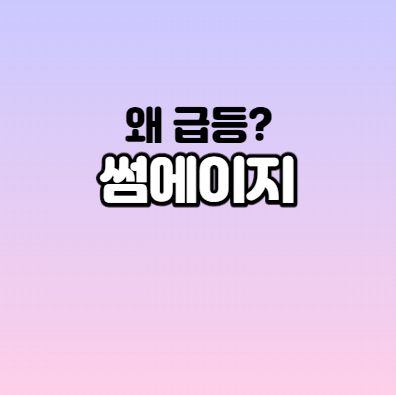  썸에이지 어떤 기업인가요? 썸에이지 급등이유 분석