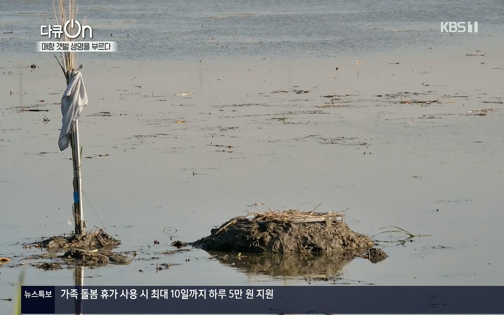 다큐 On.E151.220805p.H264-F1RST.mp4_20220806_193414.197.jpg