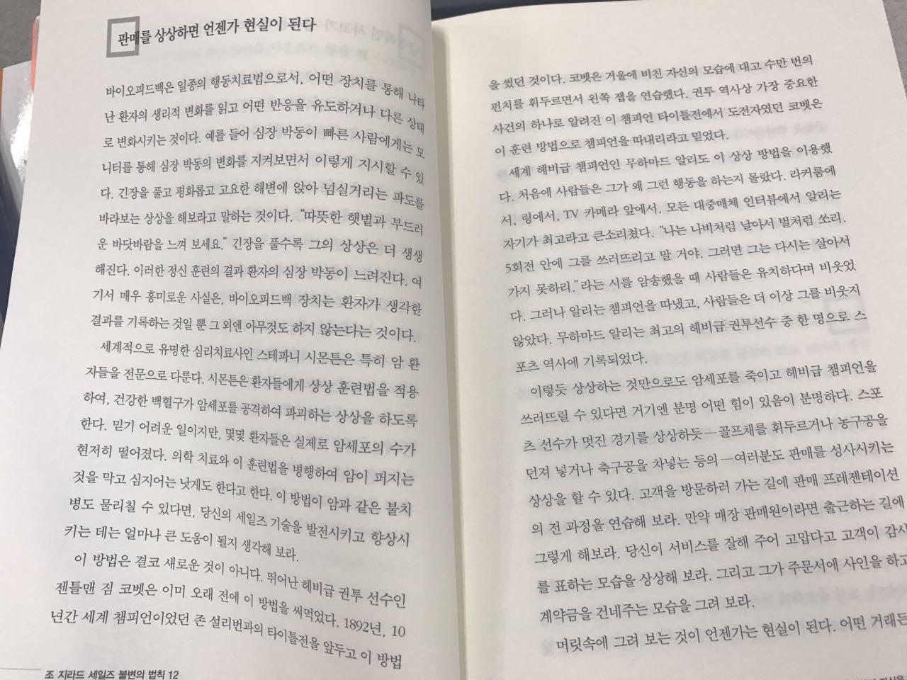  세일즈 불변의 법칙 12 - 조 지라드 안진환