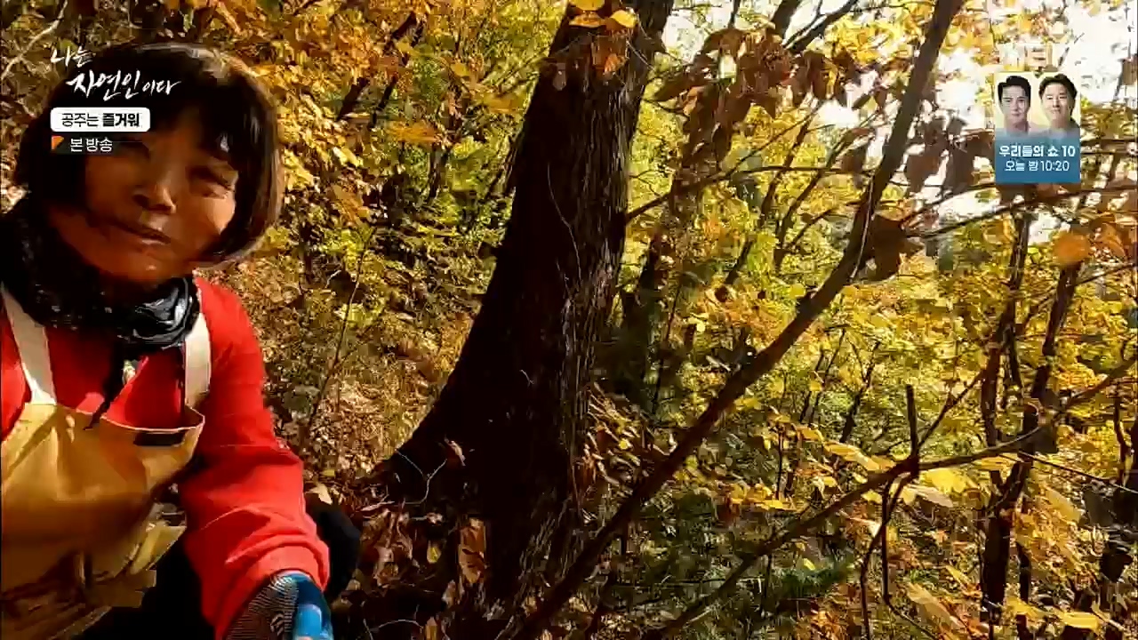 나는 자연인이다.E528.221117p.H264-F1RST.mp4_20221119_185607.213.jpg