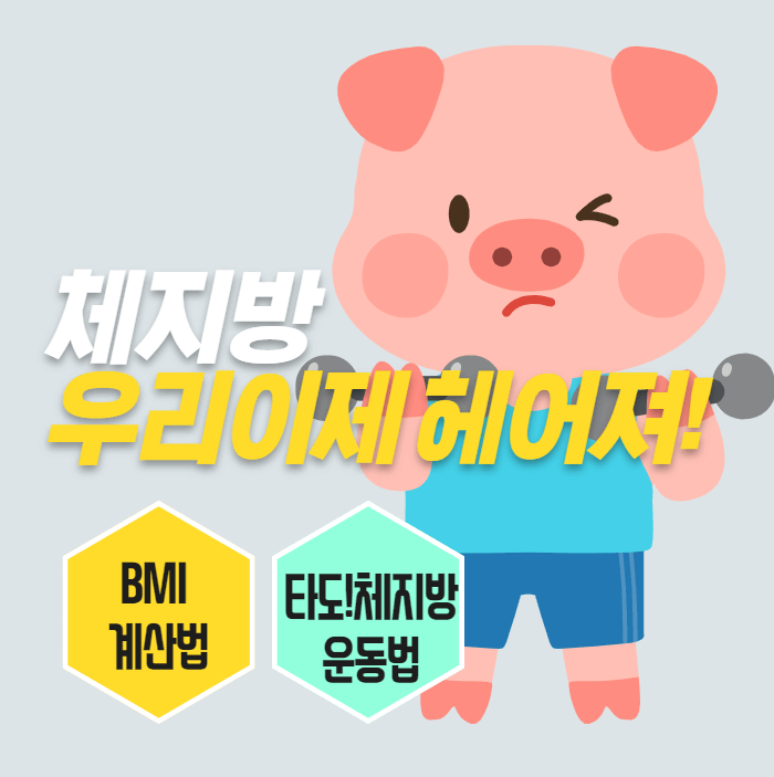  여자 남자 체지방률 계산법과 체지방 제거 운동