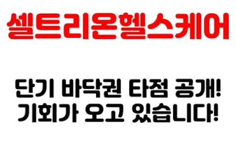  셀트리온헬스케어 주가 전망, 대현 주가 전망