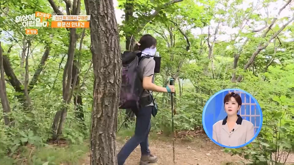 순간포착 세상에 이런일이.E1236.230708p.H264-F1RST.mp4_20230709_171118.902.jpg