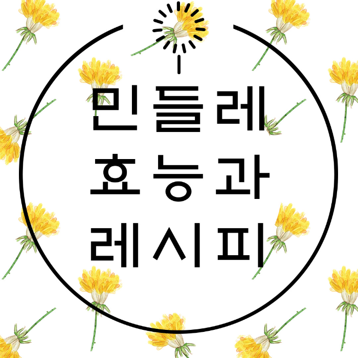  민들레 효능, 활용한 레시피 알아보기