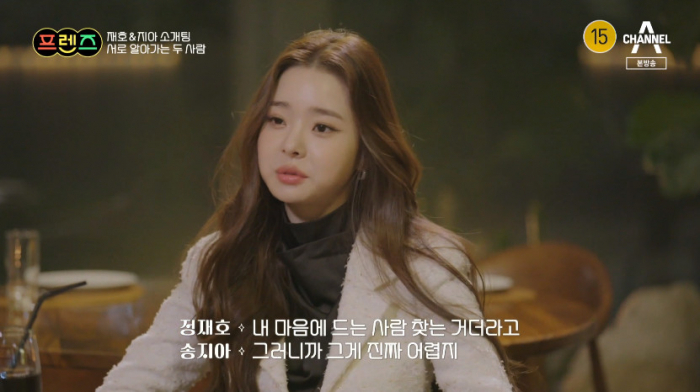 프리지아 이미지