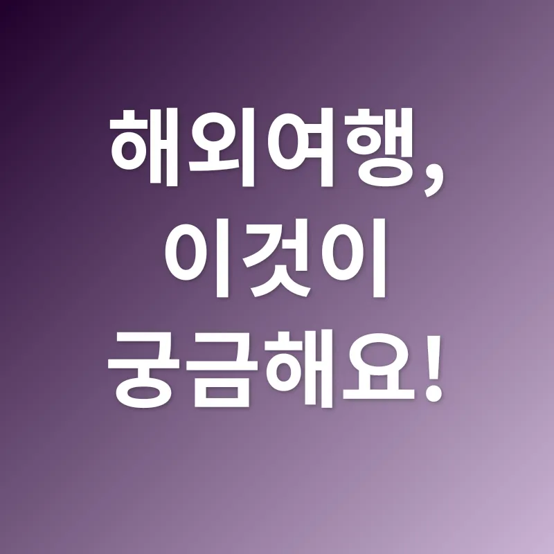 해외여행준비_4