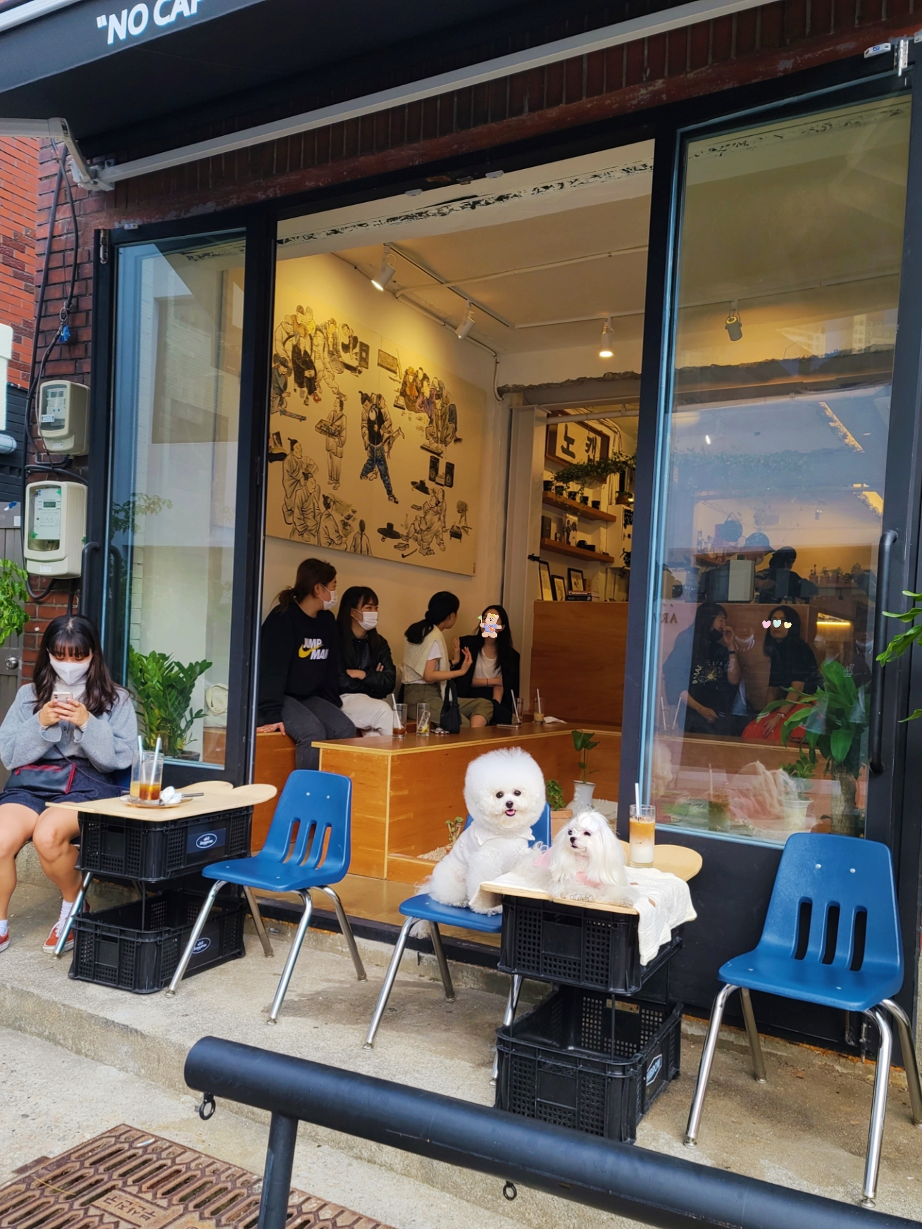  부산 서면 전포 신상 카페 애견동반 술집_노캡 NO CAP