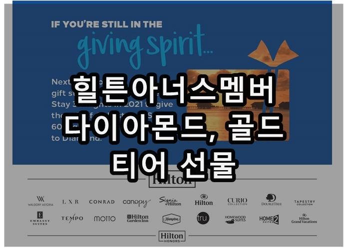 힐튼 다이아몬드 골드 기프트 선물