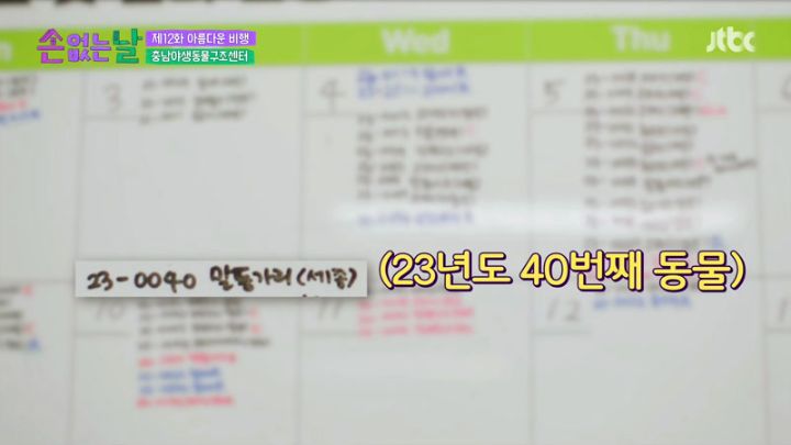  손 없는 날 12회.E12.230221.KOR.1080p.mp4.torrent