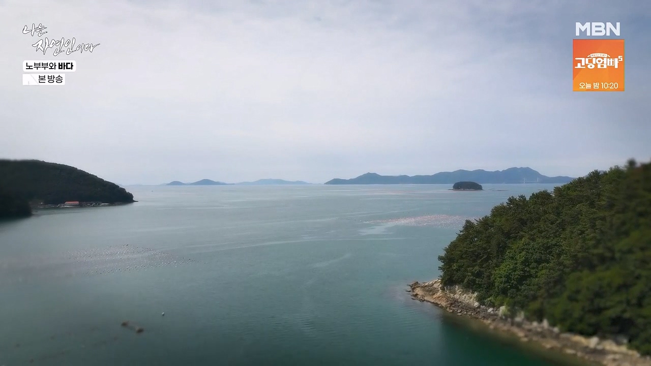 나는 자연인이다.E610.240620p-NEXT.mp4_20240620_194746.064.jpg