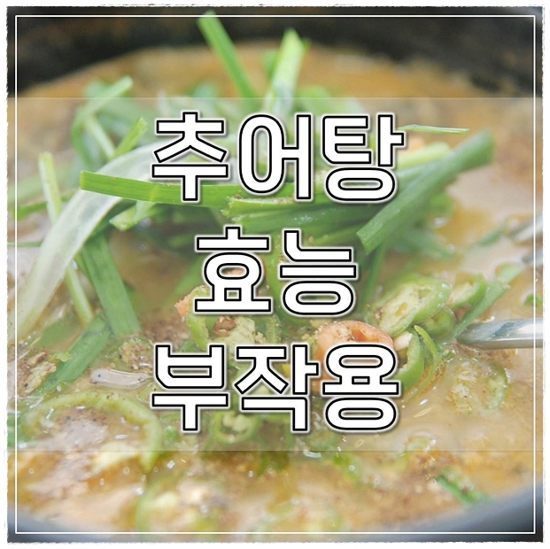  추어탕 효능 완벽한 보양식