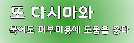  또 다시마와 북어도 피부미용에 도움을 준다