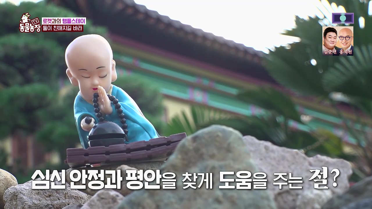 TV 동물농장 1189화 다시보기.ts_20240922_161525.626.jpg