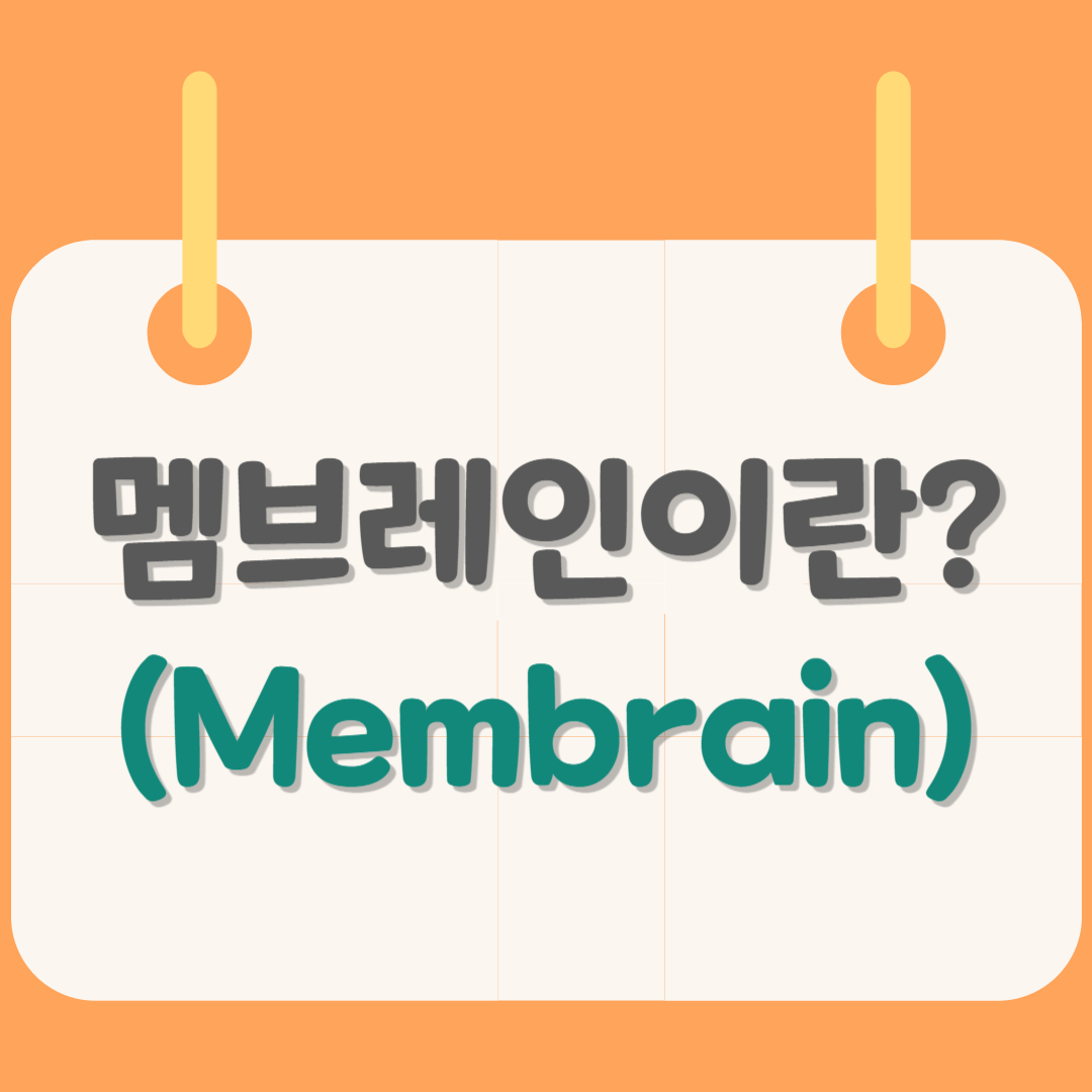 멤브레인