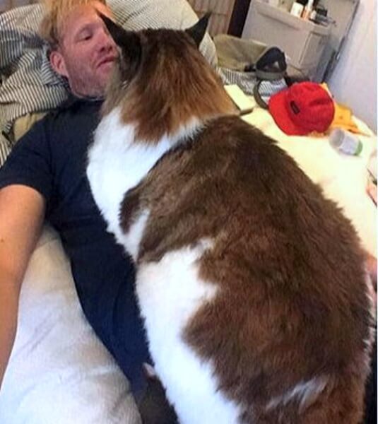 세상에서가장키큰고양이