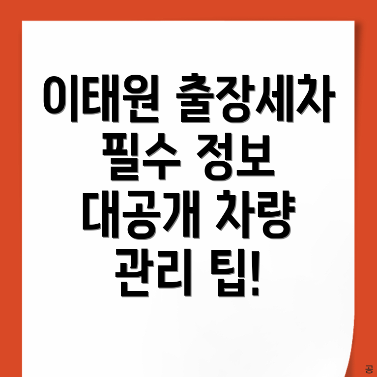 출장세차