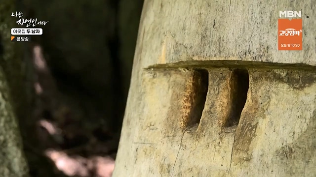 나는 자연인이다.E558.230615p-NEXT.mp4_20230615_200809.893.jpg