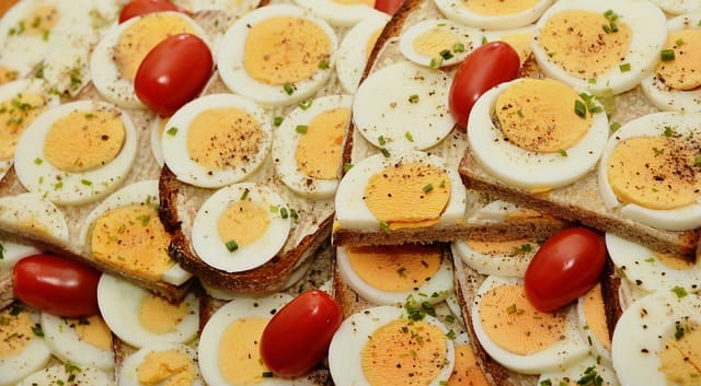 단백질이 풍부한 계란
