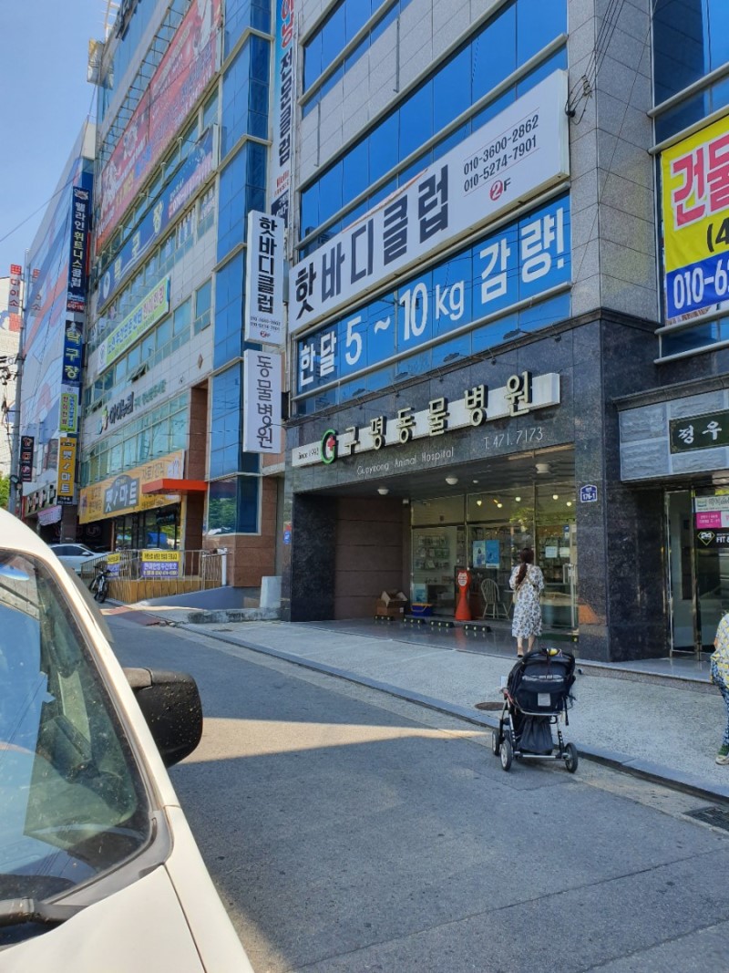 구미 반려동물 등록 다들 하셨나요~? 저는 가까운 구평동물병원 에서 강아지 내장칩 으로~^^