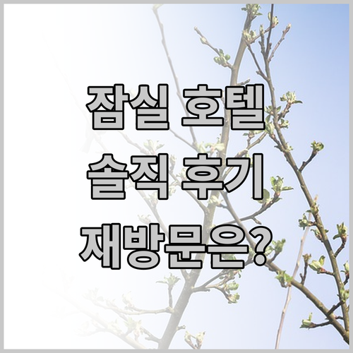 잠실 스테이 호텔 투숙 후기 재방문 