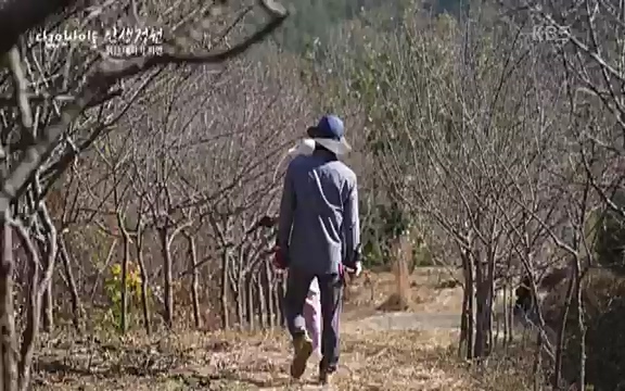 다큐 인사이트 - KBS인생정원 - 붉은 매화가 피면] 봄이면 가장 먼저, 그리고 가장 붉게 피어나는 강인한 소성의 매화.ts_20220818_205150.016.jpg