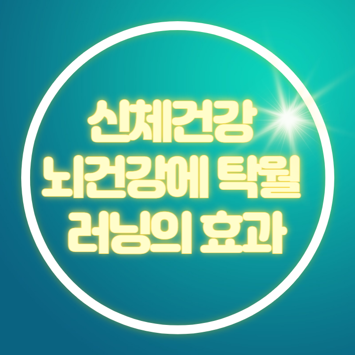 실행 효과 방법 자세