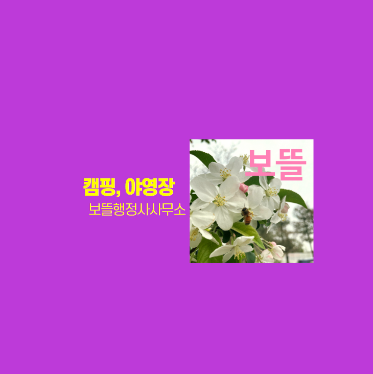  캠핑 인기와 야영장 예약 그리고 창업