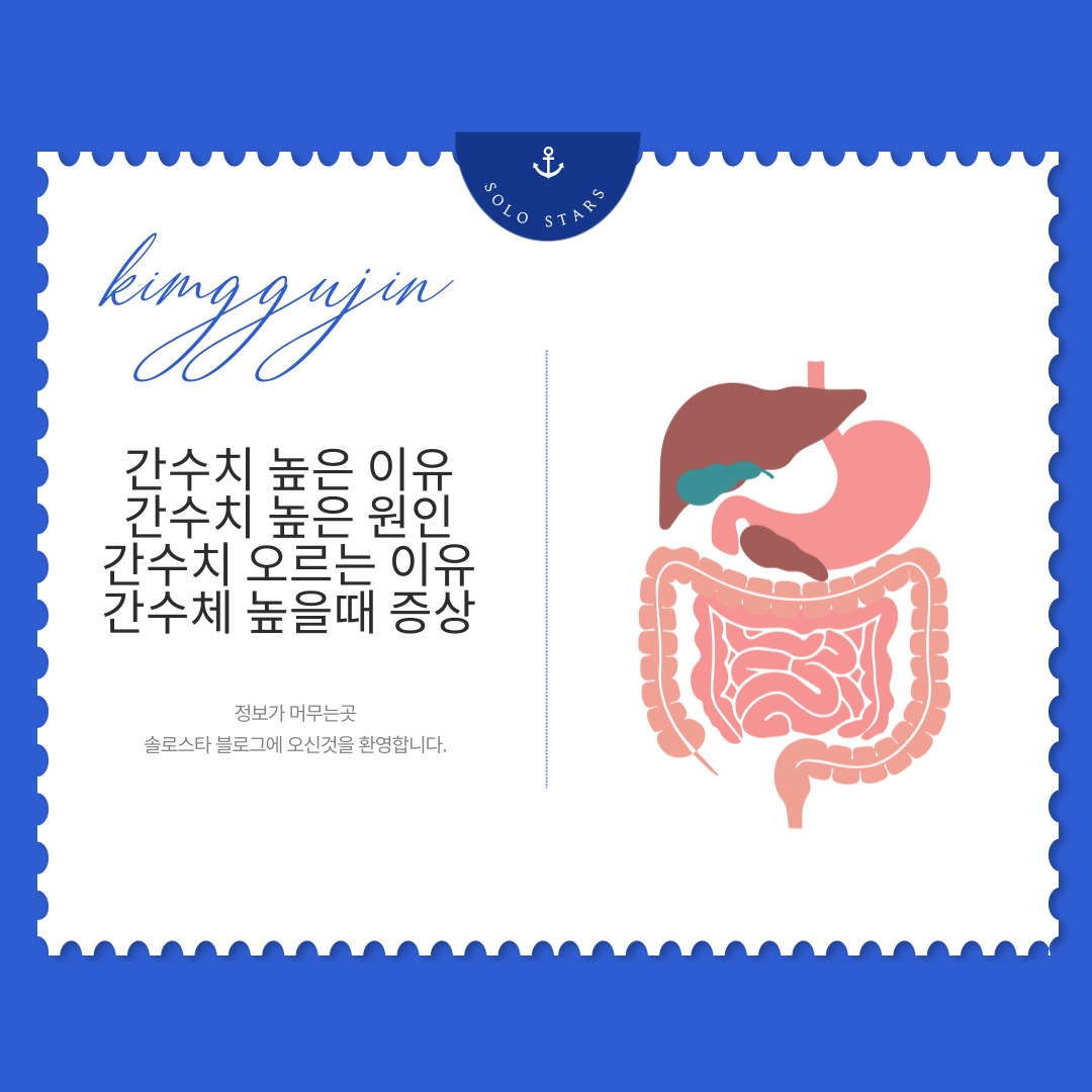 간수치 관련 그림