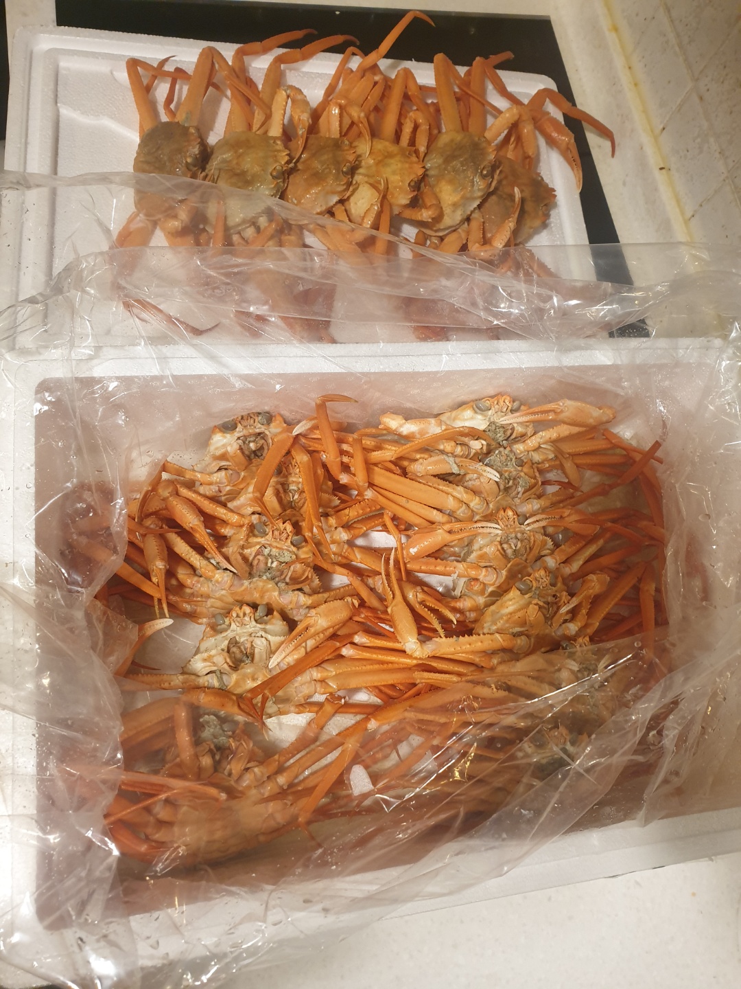  한입오징어와 홍게~넘 맛있는 저녁식사