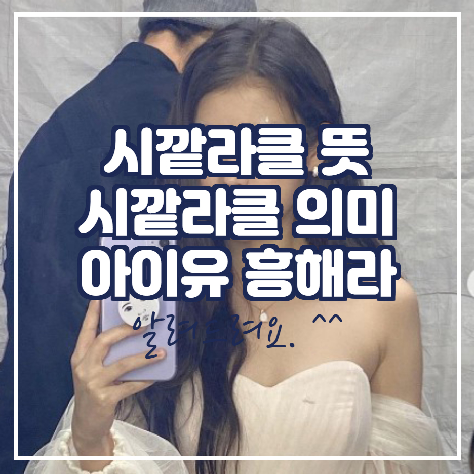  시깥라클 뜻 아이유