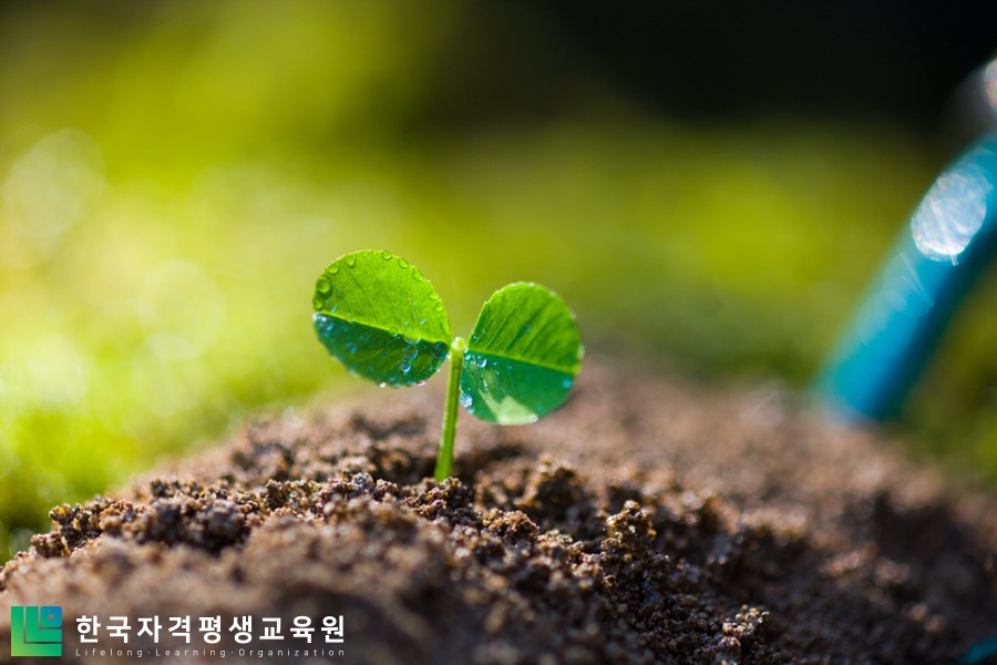 심리상담사 자격증 종류에 도전해 보세요 원예심리상담사, 8