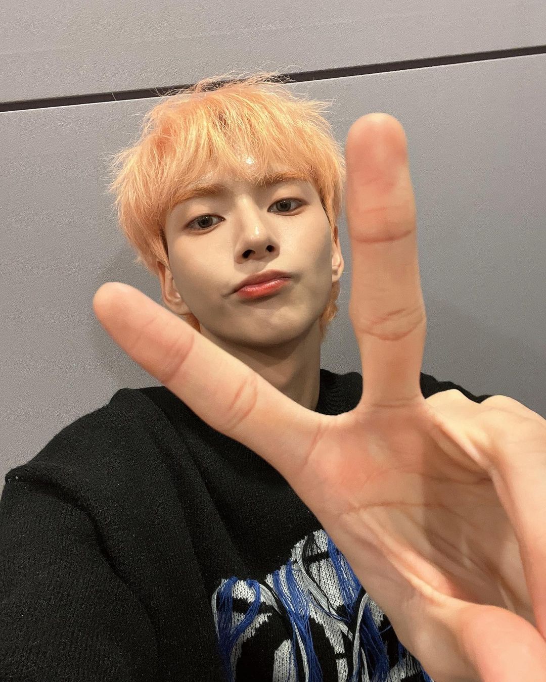 오스타 이미지