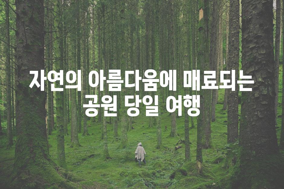 자연의 아름다움에 매료되는 공원 당일 여행